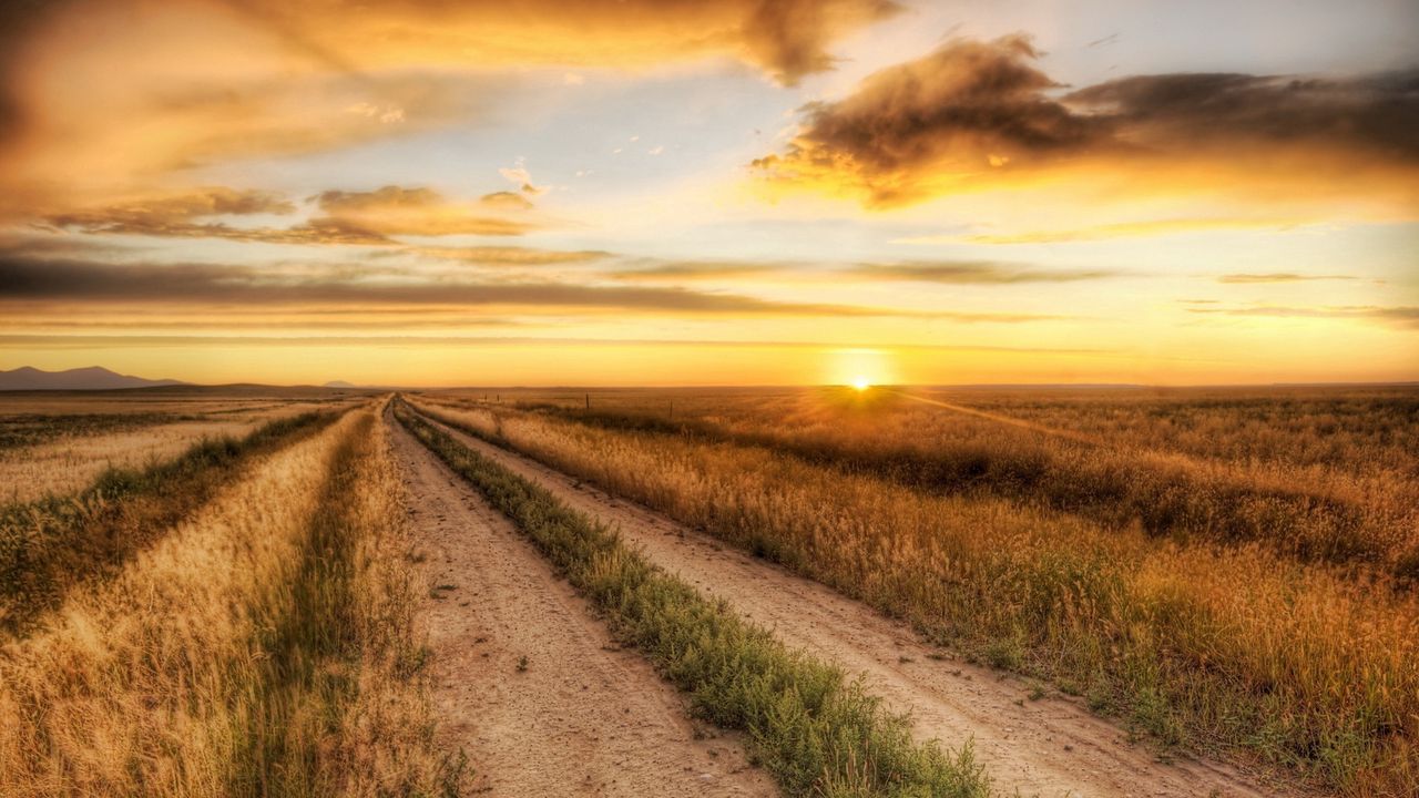 Wallpaper road, field, evening, decline, autumn, grass