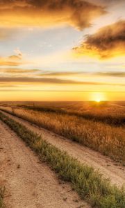 Preview wallpaper road, field, evening, decline, autumn, grass