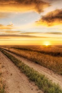 Preview wallpaper road, field, evening, decline, autumn, grass