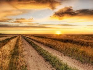 Preview wallpaper road, field, evening, decline, autumn, grass