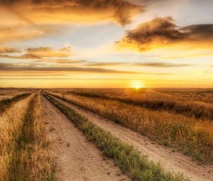 Preview wallpaper road, field, evening, decline, autumn, grass