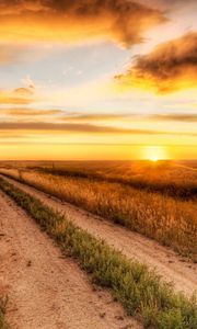 Preview wallpaper road, field, evening, horizon, sun, clouds, sky