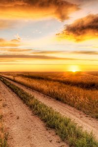 Preview wallpaper road, field, evening, horizon, sun, clouds, sky