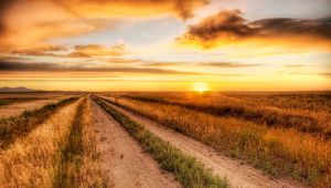 Preview wallpaper road, field, evening, horizon, sun, clouds, sky