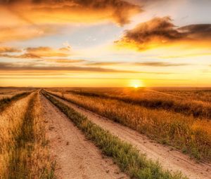 Preview wallpaper road, field, evening, horizon, sun, clouds, sky