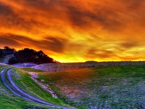 Preview wallpaper road, field, flowers, sky, decline, evening, orange, clouds