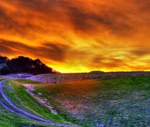 Preview wallpaper road, field, flowers, sky, decline, evening, orange, clouds