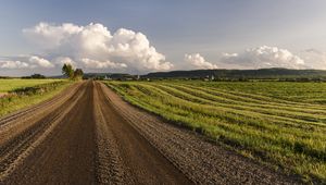 Preview wallpaper road, field, grass, sky, trees