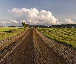 Preview wallpaper road, field, grass, sky, trees