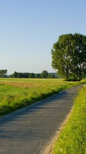 Preview wallpaper road, field, greens, traces, asphalt, trees