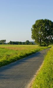 Preview wallpaper road, field, greens, traces, asphalt, trees