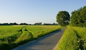 Preview wallpaper road, field, greens, traces, asphalt, trees