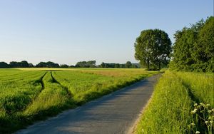 Preview wallpaper road, field, greens, traces, asphalt, trees