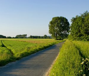 Preview wallpaper road, field, greens, traces, asphalt, trees