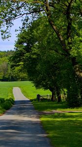 Preview wallpaper road, field, greens, summer, trees, grass