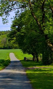 Preview wallpaper road, field, greens, summer, trees, grass