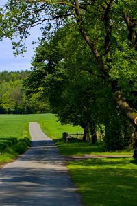 Preview wallpaper road, field, greens, summer, trees, grass