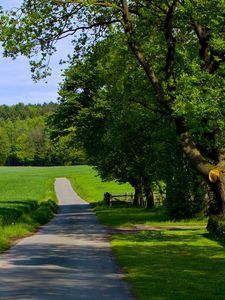 Preview wallpaper road, field, greens, summer, trees, grass