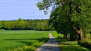 Preview wallpaper road, field, greens, summer, trees, grass