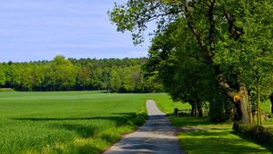 Preview wallpaper road, field, greens, summer, trees, grass