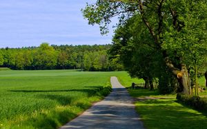 Preview wallpaper road, field, greens, summer, trees, grass