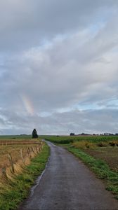 Preview wallpaper road, field, rainbow, sky, nature