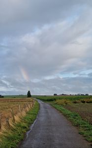 Preview wallpaper road, field, rainbow, sky, nature