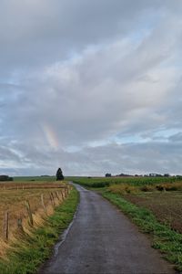 Preview wallpaper road, field, rainbow, sky, nature