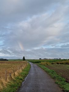 Preview wallpaper road, field, rainbow, sky, nature