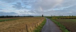 Preview wallpaper road, field, rainbow, sky, nature