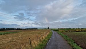 Preview wallpaper road, field, rainbow, sky, nature