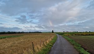 Preview wallpaper road, field, rainbow, sky, nature