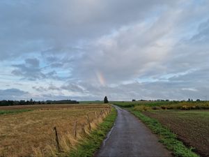 Preview wallpaper road, field, rainbow, sky, nature