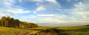 Preview wallpaper road, field, sky, clouds, blue, country, open spaces, trees, horizon, landscape