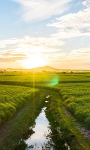 Preview wallpaper road, field, sunlight, bright, glare, landscape