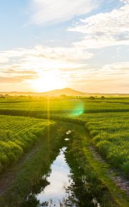 Preview wallpaper road, field, sunlight, bright, glare, landscape