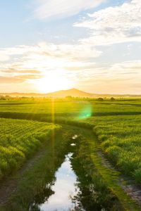 Preview wallpaper road, field, sunlight, bright, glare, landscape
