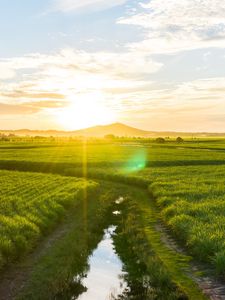 Preview wallpaper road, field, sunlight, bright, glare, landscape