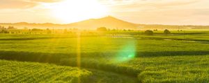 Preview wallpaper road, field, sunlight, bright, glare, landscape