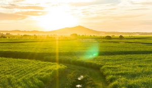 Preview wallpaper road, field, sunlight, bright, glare, landscape