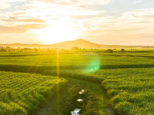 Preview wallpaper road, field, sunlight, bright, glare, landscape