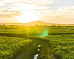 Preview wallpaper road, field, sunlight, bright, glare, landscape