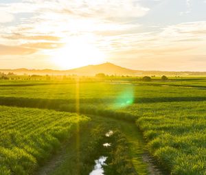 Preview wallpaper road, field, sunlight, bright, glare, landscape