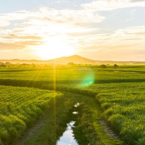 Preview wallpaper road, field, sunlight, bright, glare, landscape