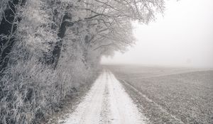 Preview wallpaper road, field, trees, forest, fog, black and white