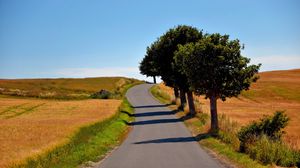 Preview wallpaper road, field, trees, landscape, nature