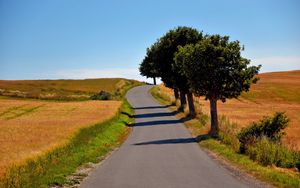 Preview wallpaper road, field, trees, landscape, nature