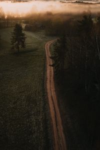 Preview wallpaper road, field, trees, fog, dusk, aerial view