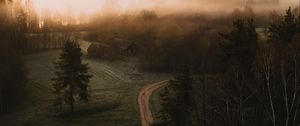 Preview wallpaper road, field, trees, fog, dusk, aerial view