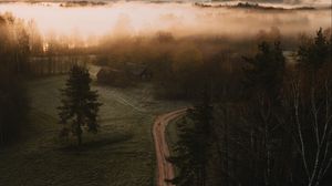 Preview wallpaper road, field, trees, fog, dusk, aerial view